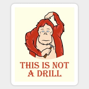 This is not a drill Magnet